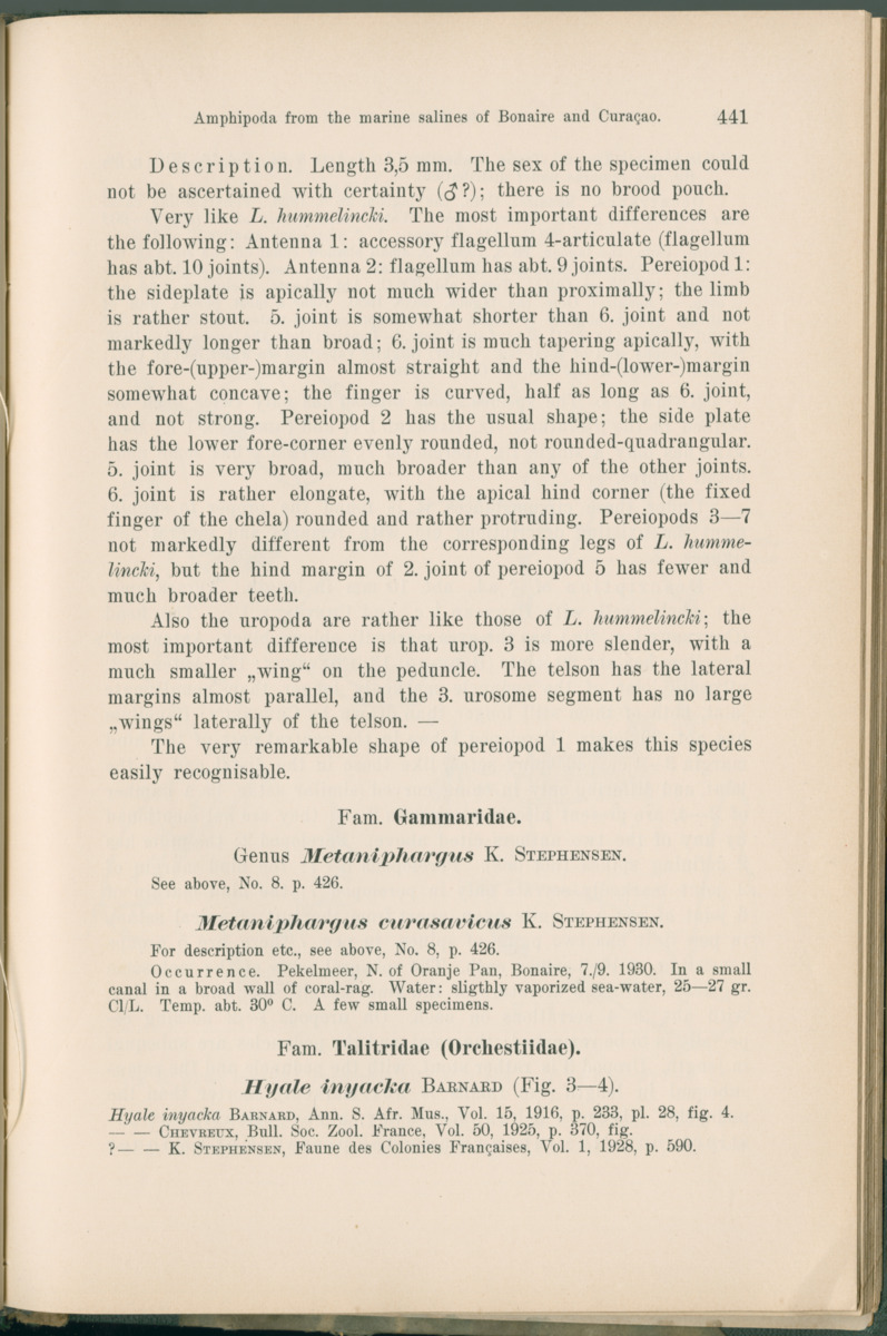 Zoologische Ergebnisse einer Reise nach Bonaire, Curacao und  Aruba im Jahre 1930 - 1. Teil - New Page
