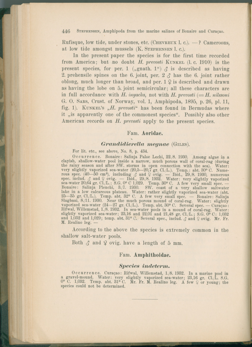 Zoologische Ergebnisse einer Reise nach Bonaire, Curacao und  Aruba im Jahre 1930 - 1. Teil - New Page