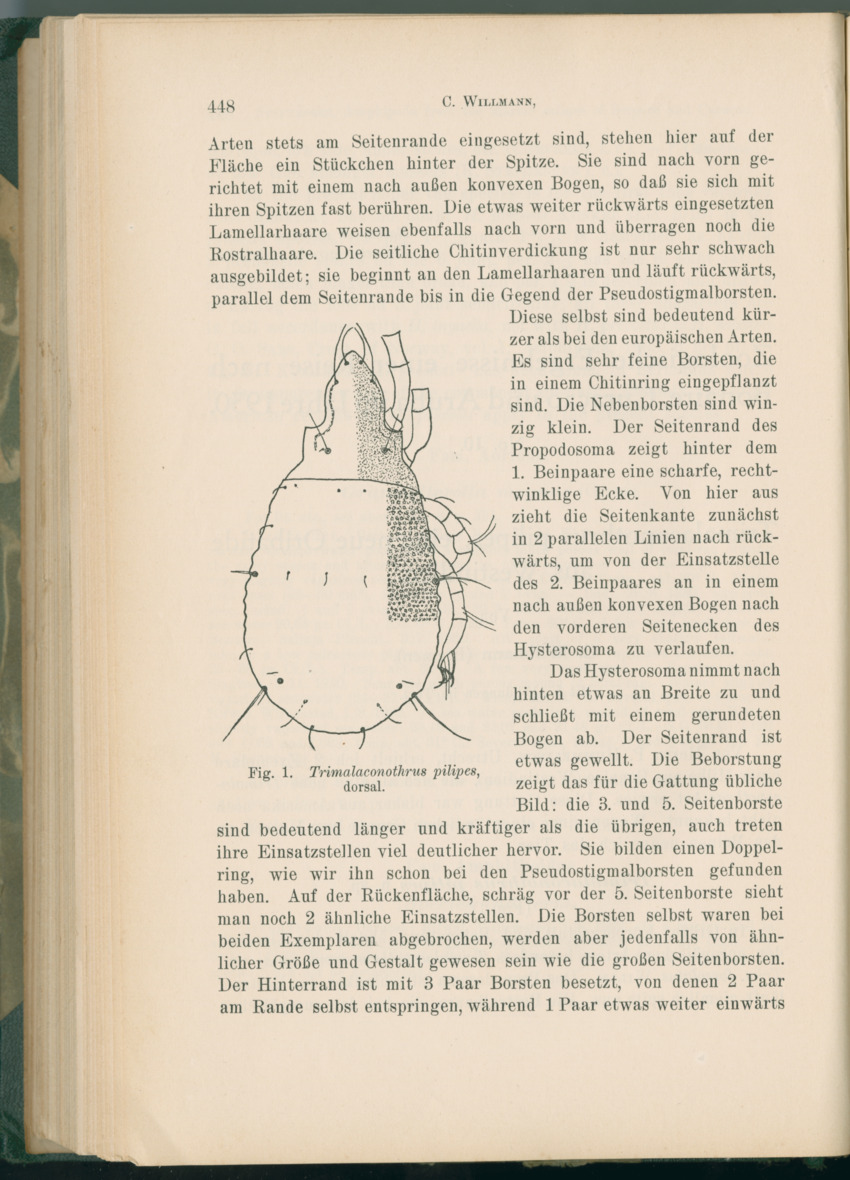 Zoologische Ergebnisse einer Reise nach Bonaire, Curacao und  Aruba im Jahre 1930 - 1. Teil - New Page
