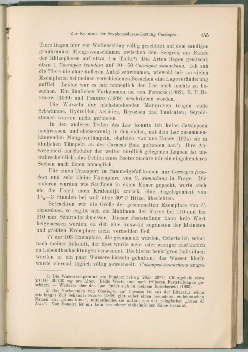 Zoologische Ergebnisse einer Reise nach Bonaire, Curacao und  Aruba im Jahre 1930 - 1. Teil - New Page