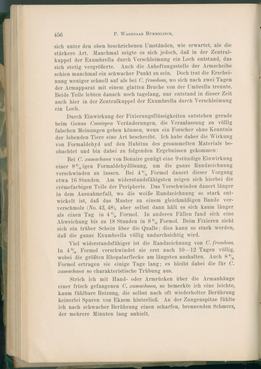 Zoologische Ergebnisse einer Reise nach Bonaire, Curacao und  Aruba im Jahre 1930 - 1. Teil - New Page
