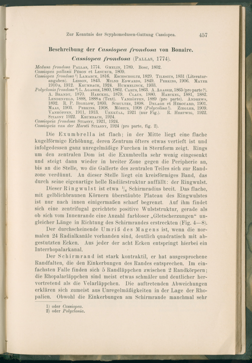 Zoologische Ergebnisse einer Reise nach Bonaire, Curacao und  Aruba im Jahre 1930 - 1. Teil - New Page