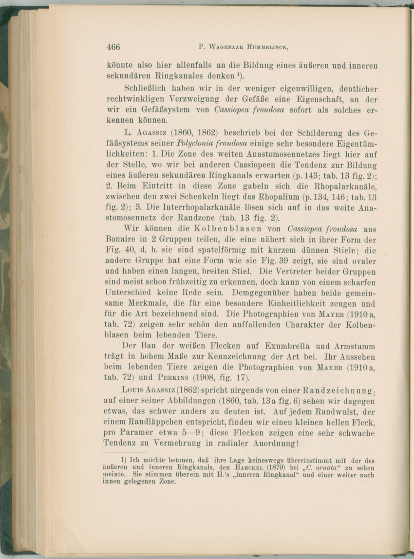 Zoologische Ergebnisse einer Reise nach Bonaire, Curacao und  Aruba im Jahre 1930 - 1. Teil - New Page