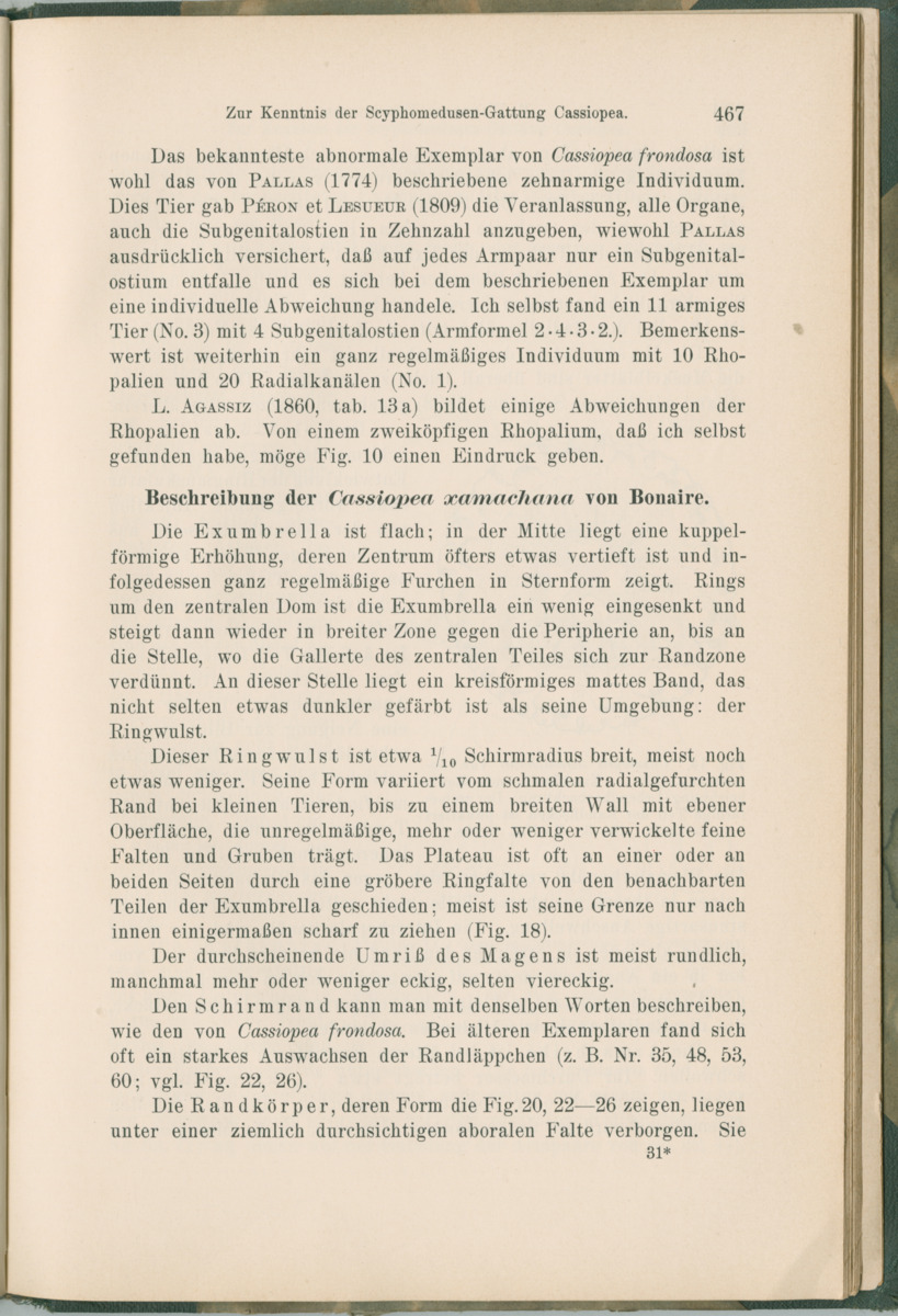 Zoologische Ergebnisse einer Reise nach Bonaire, Curacao und  Aruba im Jahre 1930 - 1. Teil - New Page