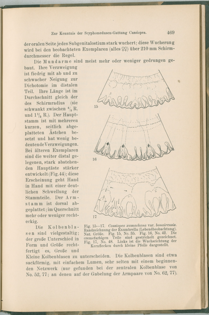Zoologische Ergebnisse einer Reise nach Bonaire, Curacao und  Aruba im Jahre 1930 - 1. Teil - New Page