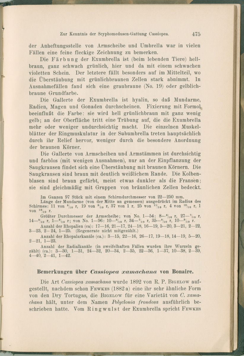 Zoologische Ergebnisse einer Reise nach Bonaire, Curacao und  Aruba im Jahre 1930 - 1. Teil - New Page