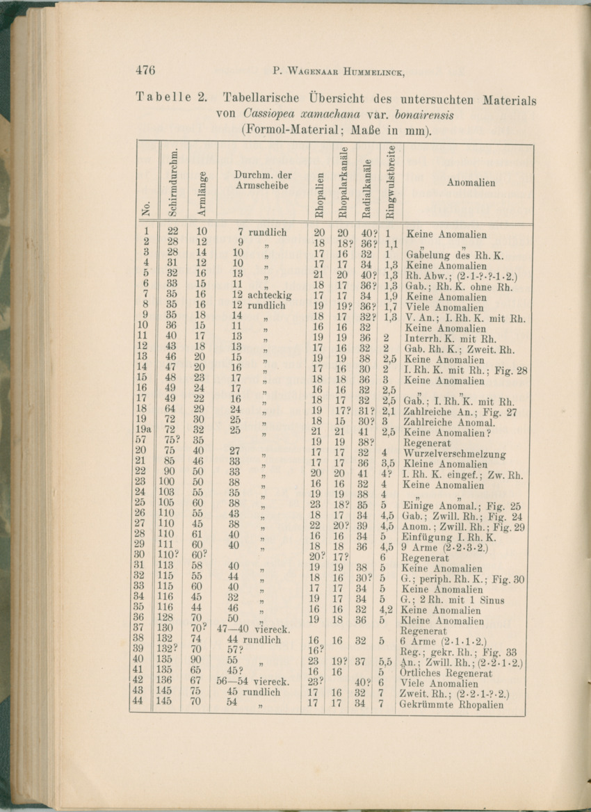 Zoologische Ergebnisse einer Reise nach Bonaire, Curacao und  Aruba im Jahre 1930 - 1. Teil - New Page