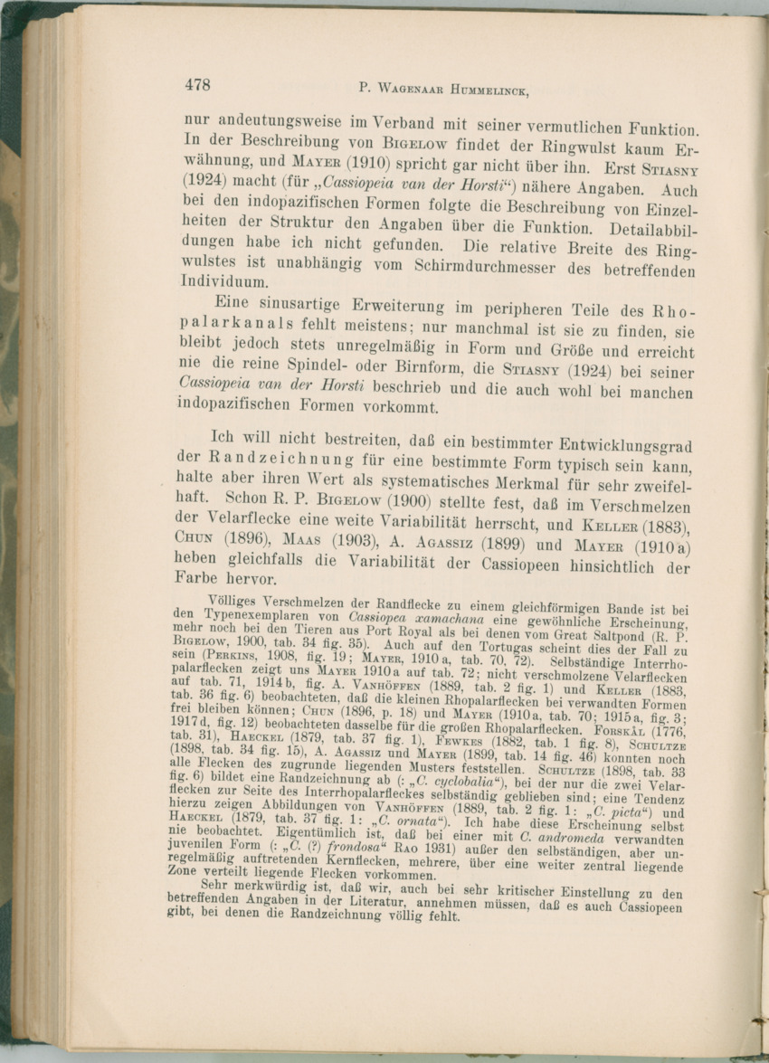 Zoologische Ergebnisse einer Reise nach Bonaire, Curacao und  Aruba im Jahre 1930 - 1. Teil - New Page