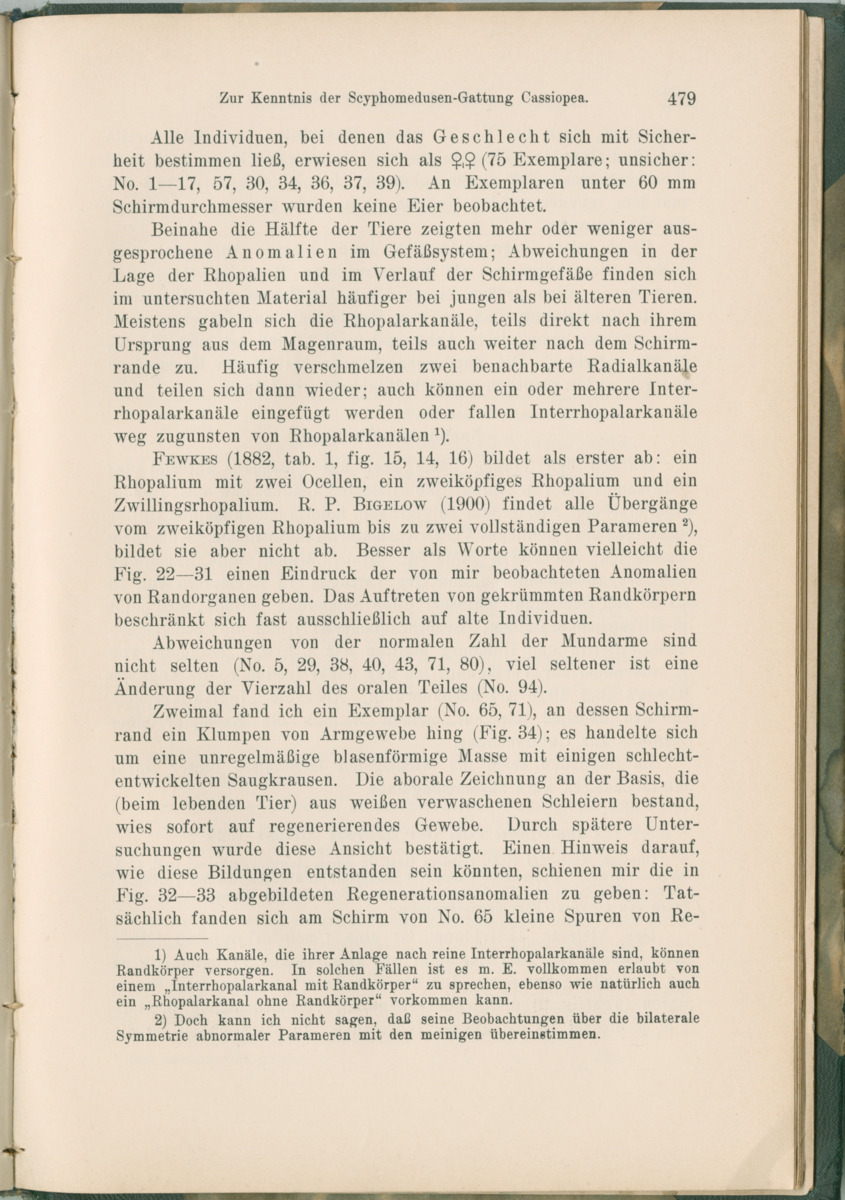 Zoologische Ergebnisse einer Reise nach Bonaire, Curacao und  Aruba im Jahre 1930 - 1. Teil - New Page