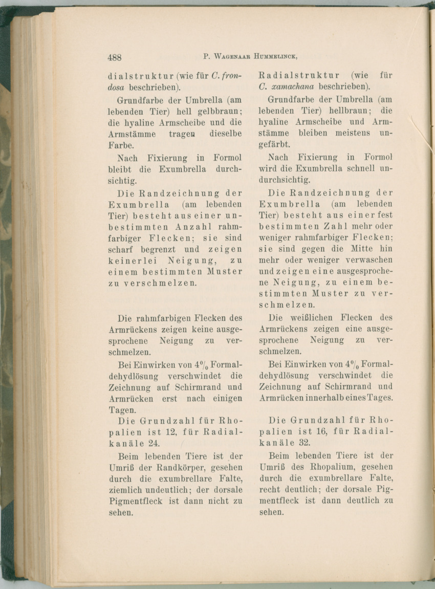 Zoologische Ergebnisse einer Reise nach Bonaire, Curacao und  Aruba im Jahre 1930 - 1. Teil - New Page