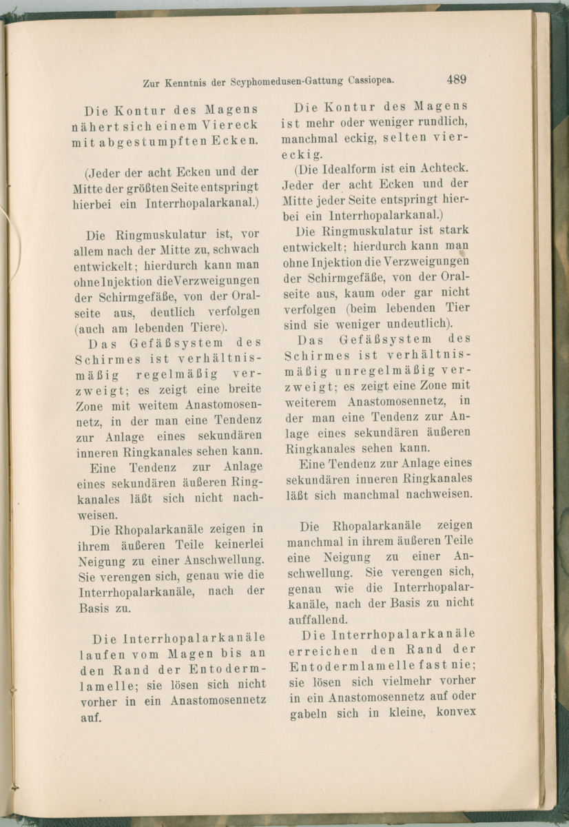 Zoologische Ergebnisse einer Reise nach Bonaire, Curacao und  Aruba im Jahre 1930 - 1. Teil - New Page