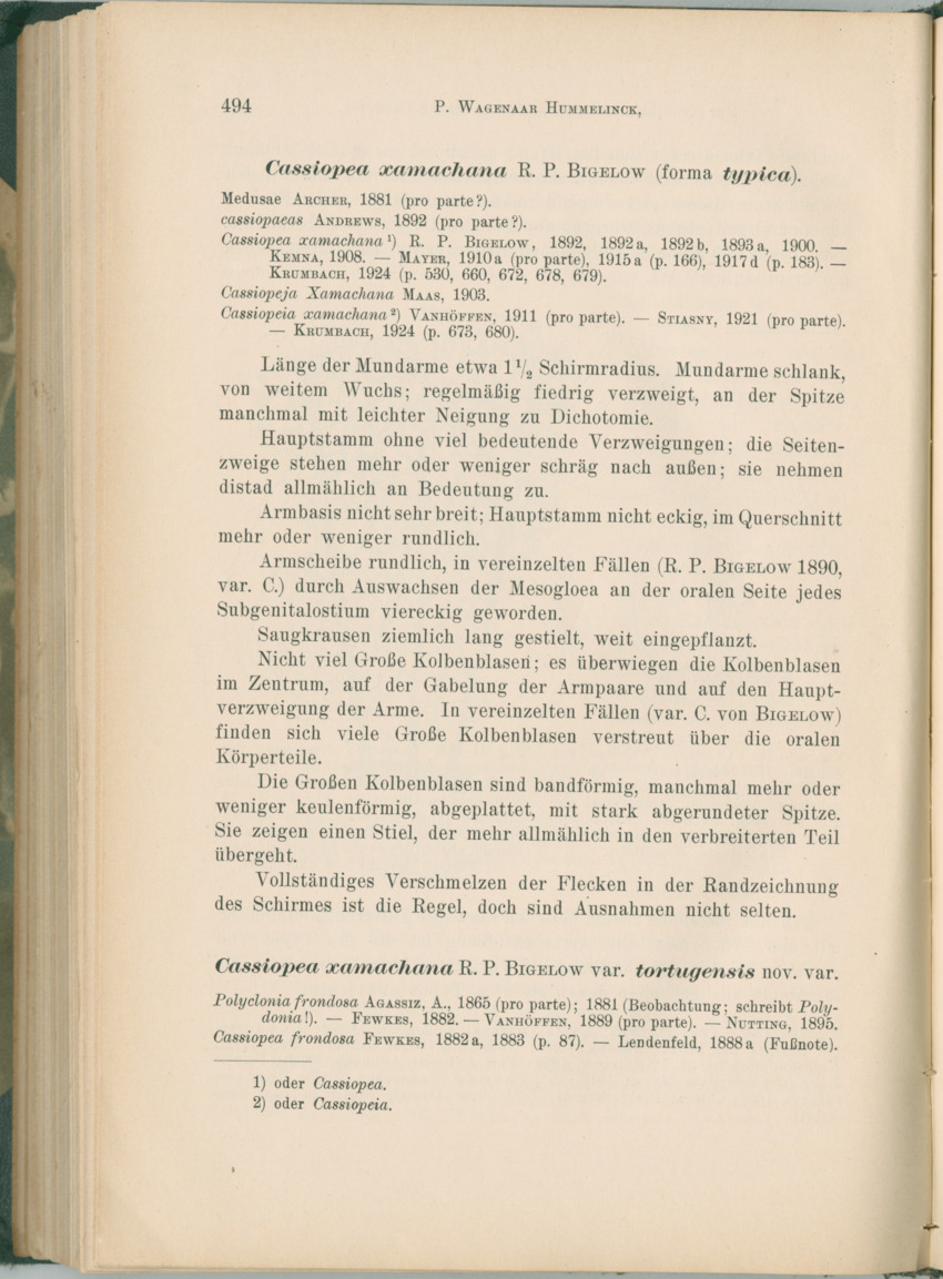 Zoologische Ergebnisse einer Reise nach Bonaire, Curacao und  Aruba im Jahre 1930 - 1. Teil - New Page