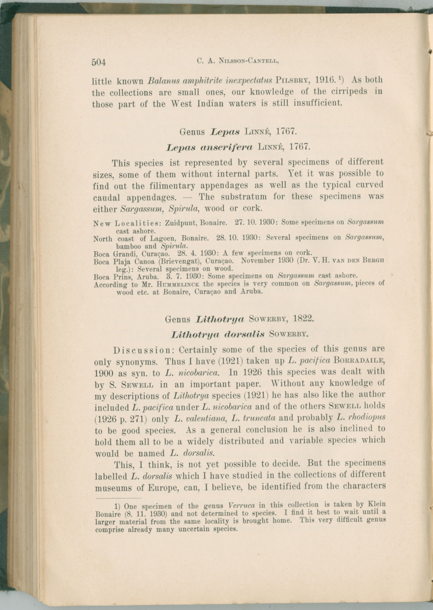 Zoologische Ergebnisse einer Reise nach Bonaire, Curacao und  Aruba im Jahre 1930 - 1. Teil - New Page