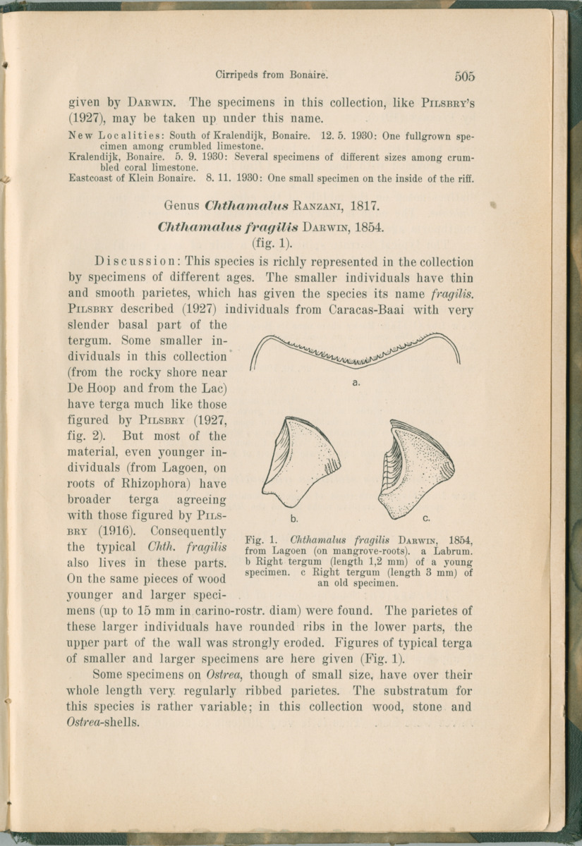 Zoologische Ergebnisse einer Reise nach Bonaire, Curacao und  Aruba im Jahre 1930 - 1. Teil - New Page