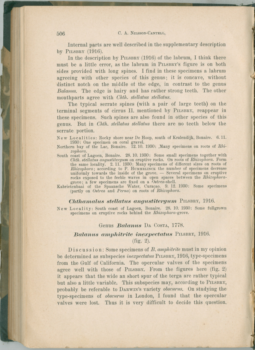 Zoologische Ergebnisse einer Reise nach Bonaire, Curacao und  Aruba im Jahre 1930 - 1. Teil - New Page