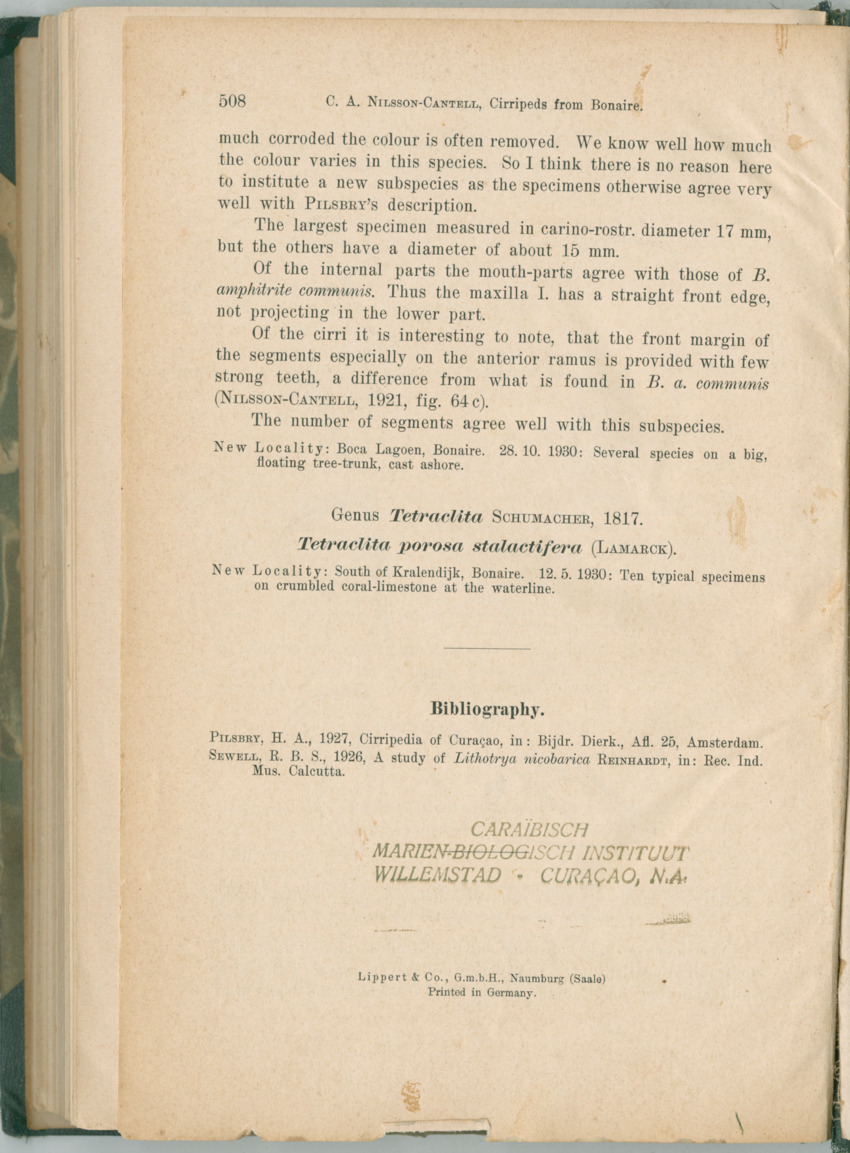 Zoologische Ergebnisse einer Reise nach Bonaire, Curacao und  Aruba im Jahre 1930 - 1. Teil - New Page