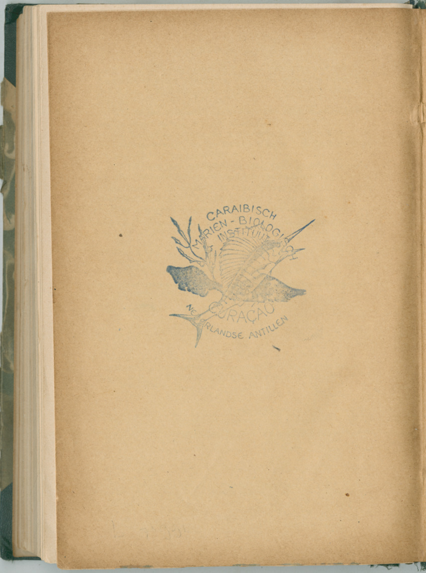 Zoologische Ergebnisse einer Reise nach Bonaire, Curacao und  Aruba im Jahre 1930 - 1. Teil - New Page