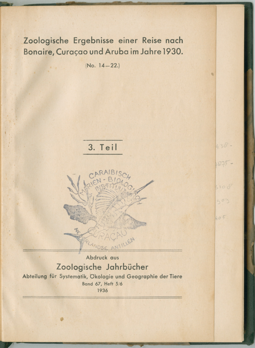 Zoologische Ergebnisse einer Reise nach Bonaire, Curacao und  Aruba im Jahre 1930 - 3. Teil - New Page