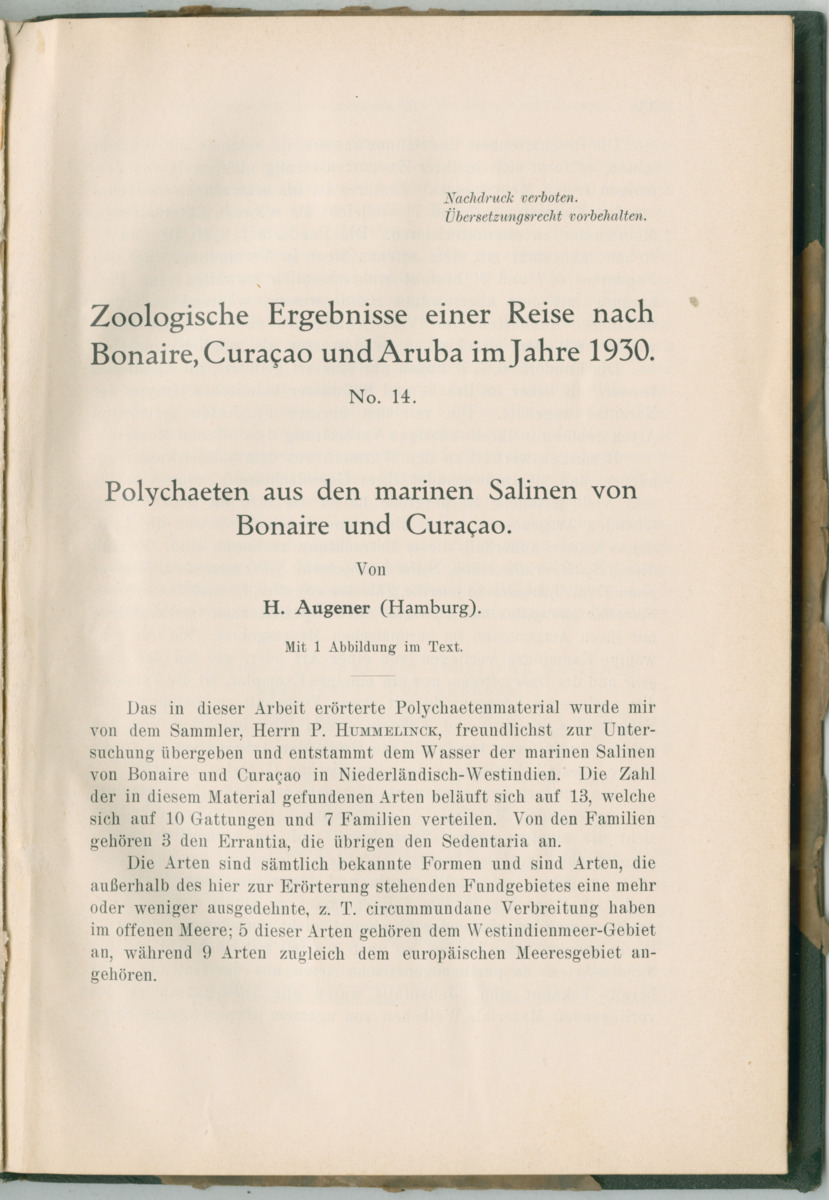 Zoologische Ergebnisse einer Reise nach Bonaire, Curacao und  Aruba im Jahre 1930 - 3. Teil - New Page
