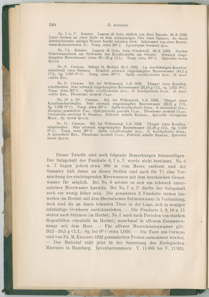 Zoologische Ergebnisse einer Reise nach Bonaire, Curacao und  Aruba im Jahre 1930 - 3. Teil - New Page