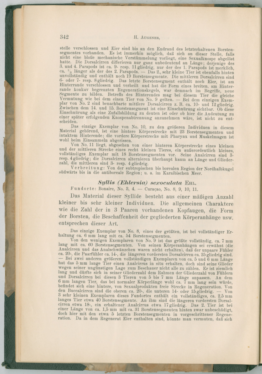 Zoologische Ergebnisse einer Reise nach Bonaire, Curacao und  Aruba im Jahre 1930 - 3. Teil - New Page