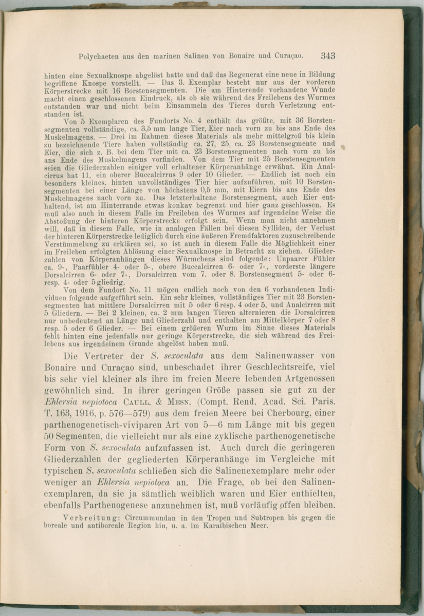 Zoologische Ergebnisse einer Reise nach Bonaire, Curacao und  Aruba im Jahre 1930 - 3. Teil - New Page