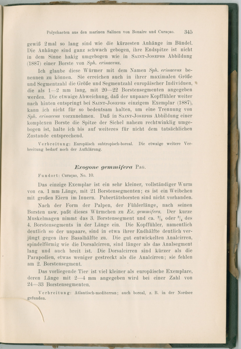 Zoologische Ergebnisse einer Reise nach Bonaire, Curacao und  Aruba im Jahre 1930 - 3. Teil - New Page