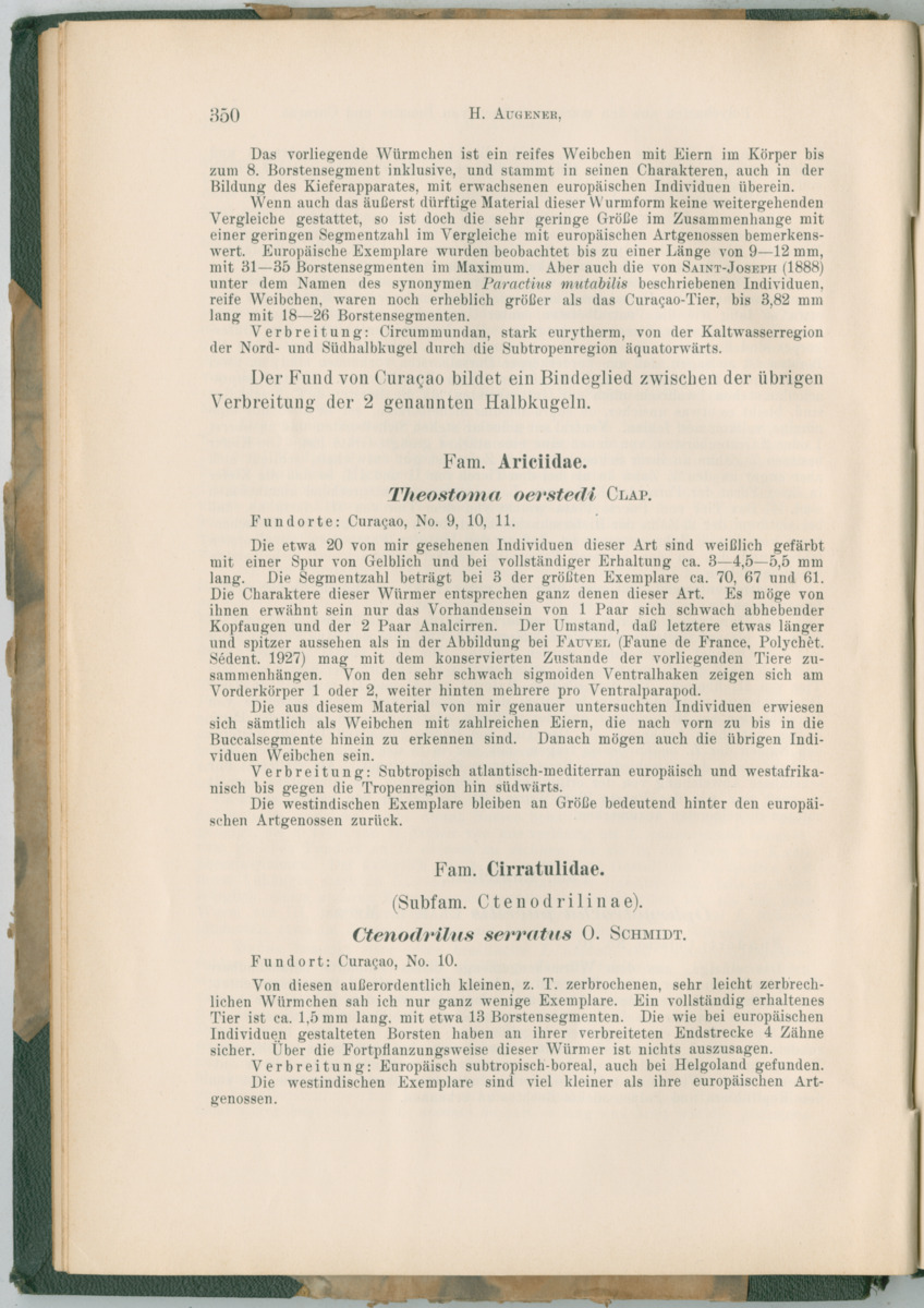 Zoologische Ergebnisse einer Reise nach Bonaire, Curacao und  Aruba im Jahre 1930 - 3. Teil - New Page
