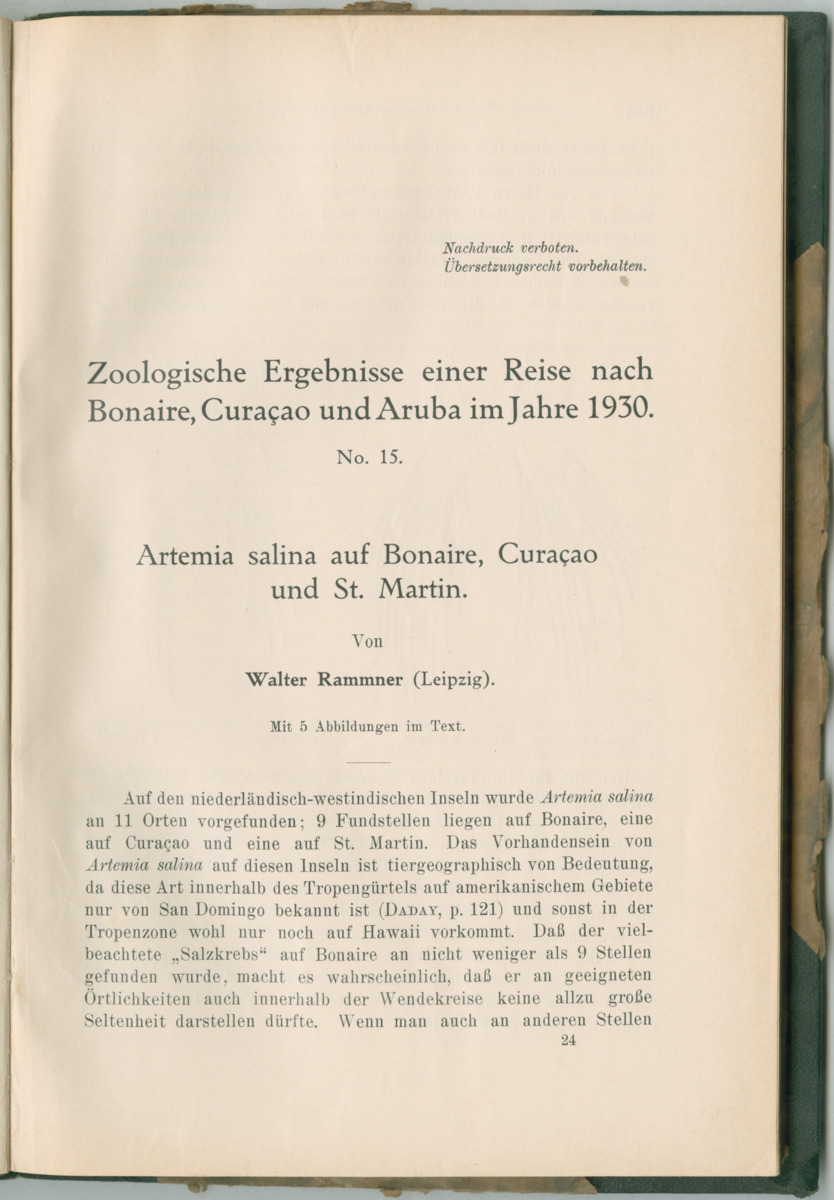 Zoologische Ergebnisse einer Reise nach Bonaire, Curacao und  Aruba im Jahre 1930 - 3. Teil - New Page