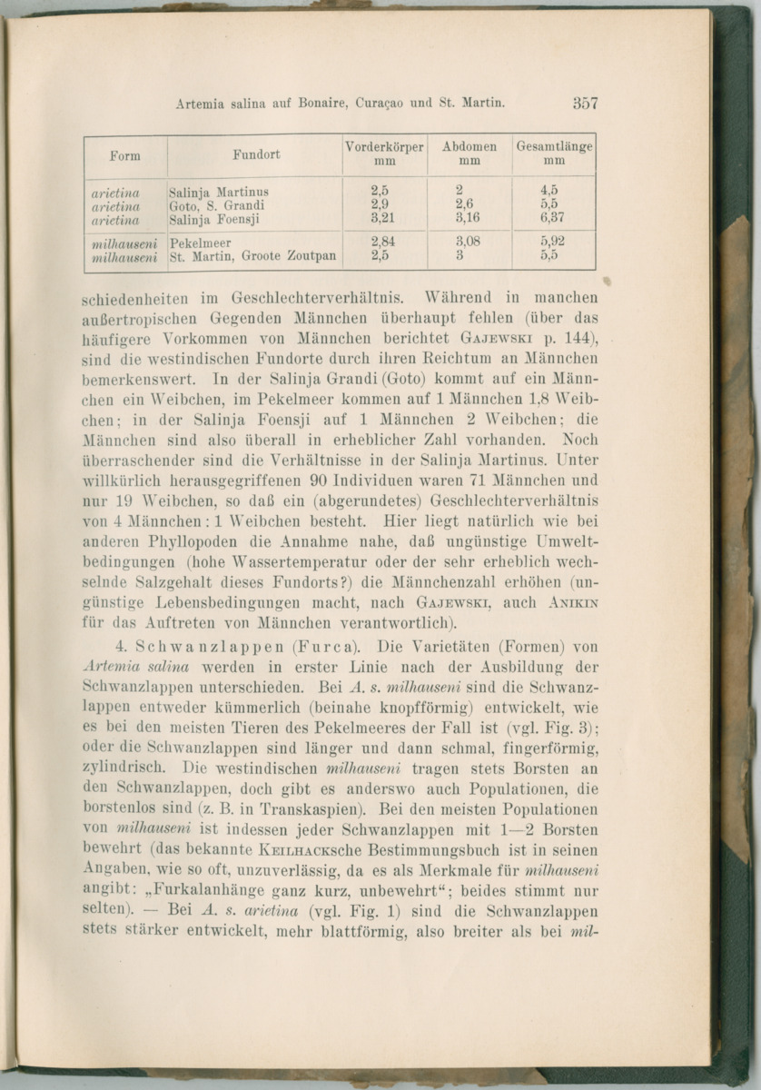 Zoologische Ergebnisse einer Reise nach Bonaire, Curacao und  Aruba im Jahre 1930 - 3. Teil - New Page