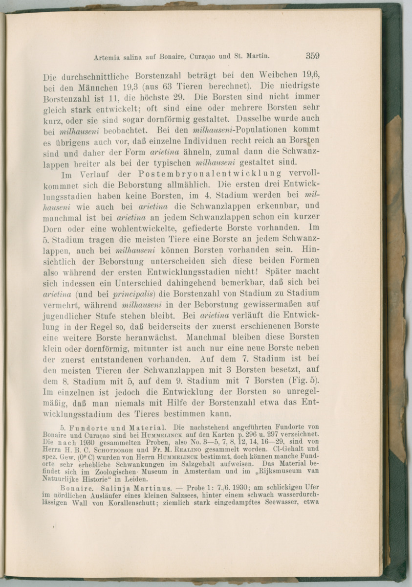 Zoologische Ergebnisse einer Reise nach Bonaire, Curacao und  Aruba im Jahre 1930 - 3. Teil - New Page