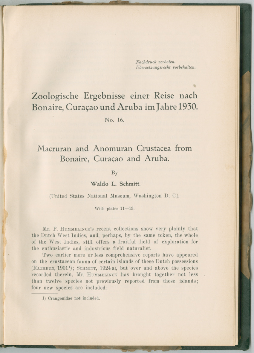 Zoologische Ergebnisse einer Reise nach Bonaire, Curacao und  Aruba im Jahre 1930 - 3. Teil - New Page