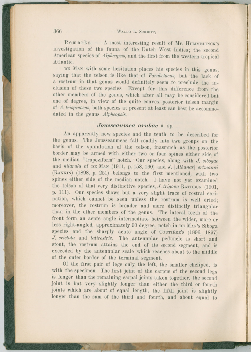 Zoologische Ergebnisse einer Reise nach Bonaire, Curacao und  Aruba im Jahre 1930 - 3. Teil - New Page