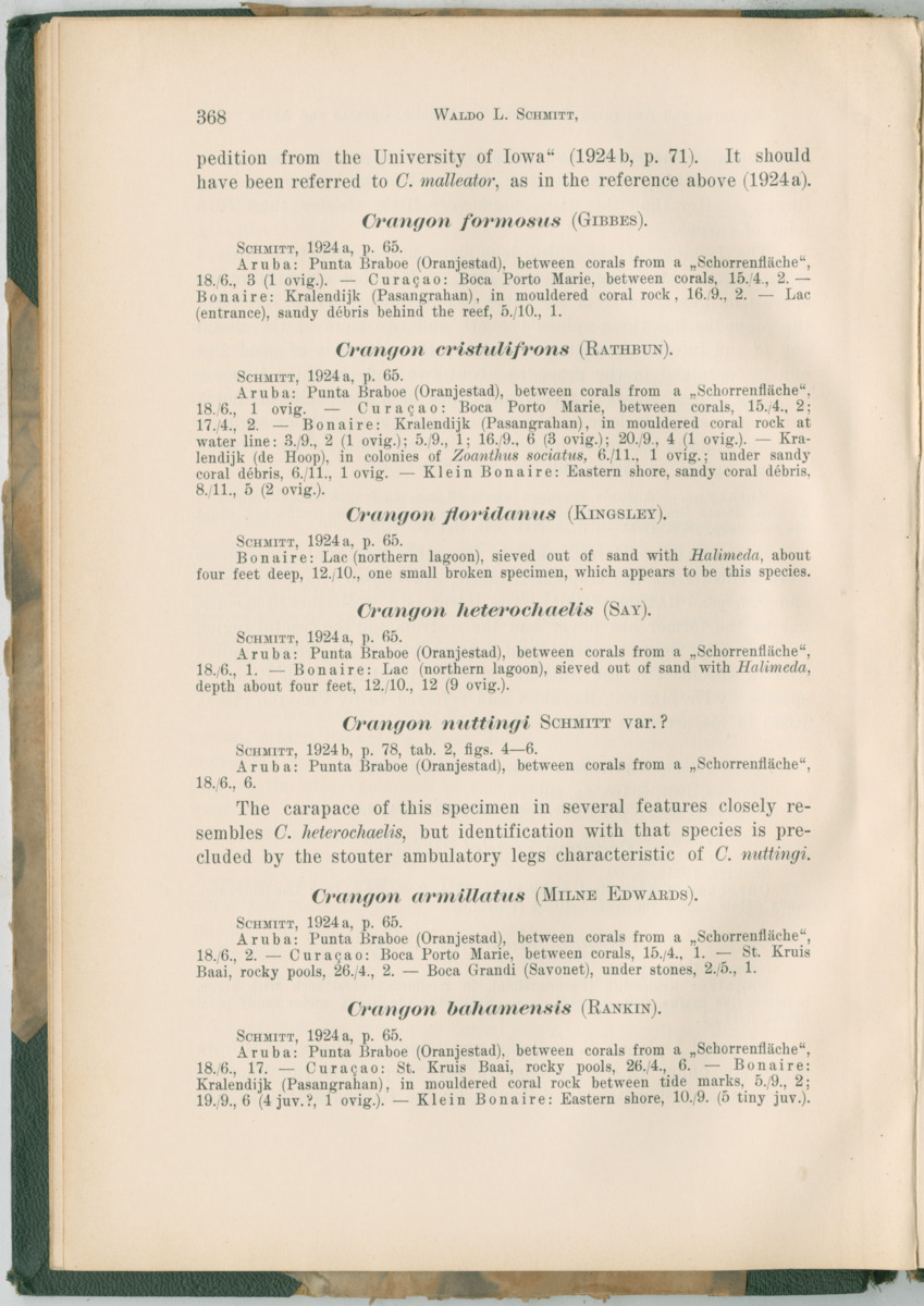 Zoologische Ergebnisse einer Reise nach Bonaire, Curacao und  Aruba im Jahre 1930 - 3. Teil - New Page