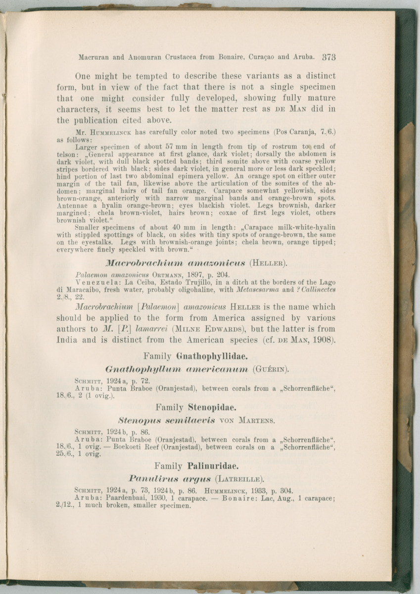 Zoologische Ergebnisse einer Reise nach Bonaire, Curacao und  Aruba im Jahre 1930 - 3. Teil - New Page