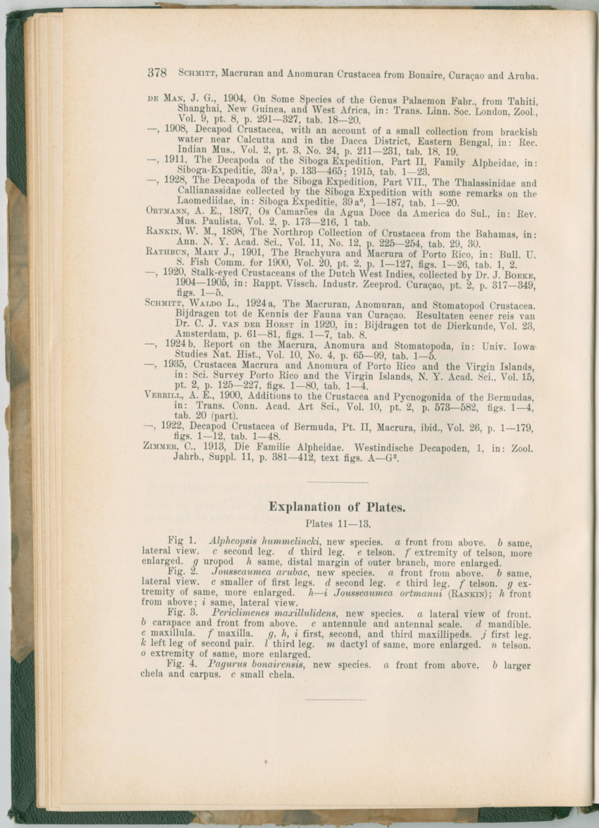 Zoologische Ergebnisse einer Reise nach Bonaire, Curacao und  Aruba im Jahre 1930 - 3. Teil - New Page