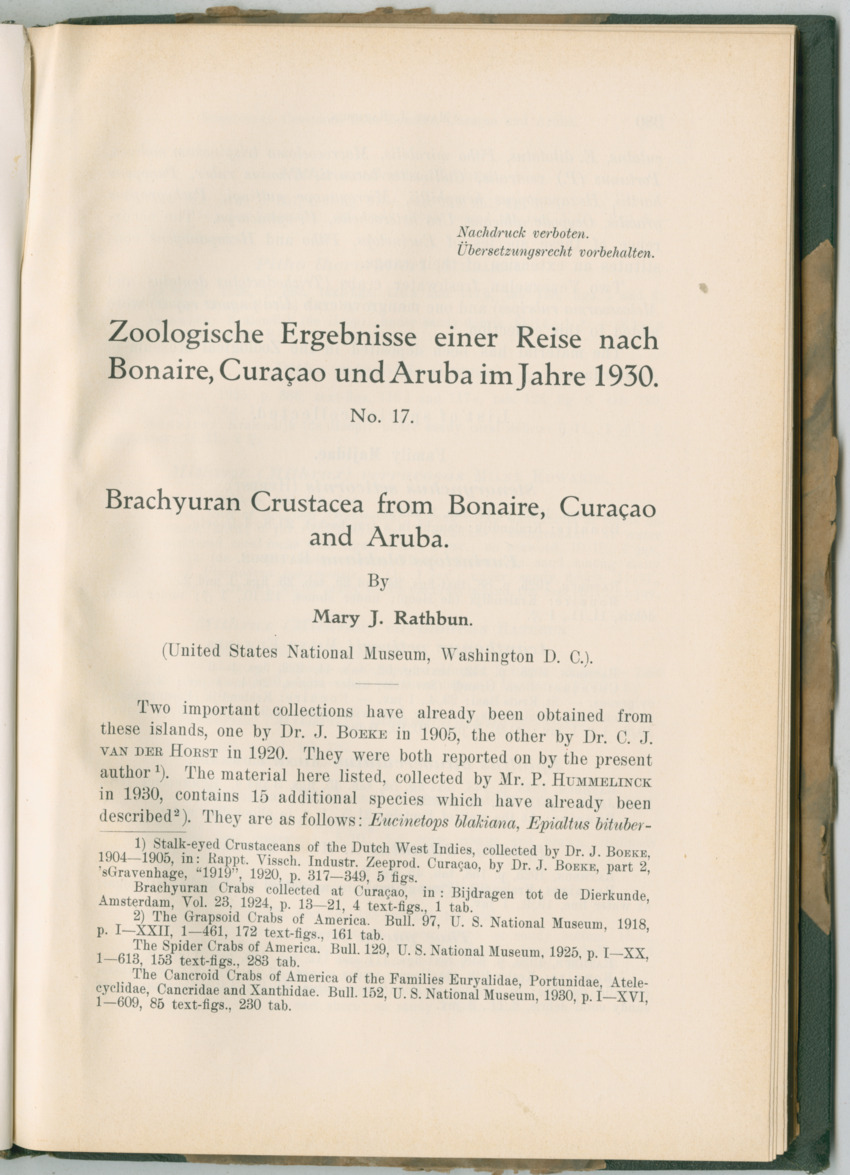 Zoologische Ergebnisse einer Reise nach Bonaire, Curacao und  Aruba im Jahre 1930 - 3. Teil - New Page
