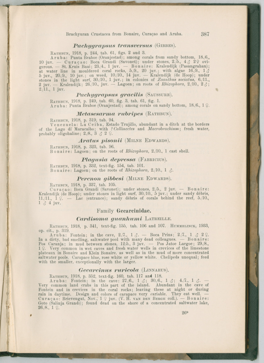 Zoologische Ergebnisse einer Reise nach Bonaire, Curacao und  Aruba im Jahre 1930 - 3. Teil - New Page