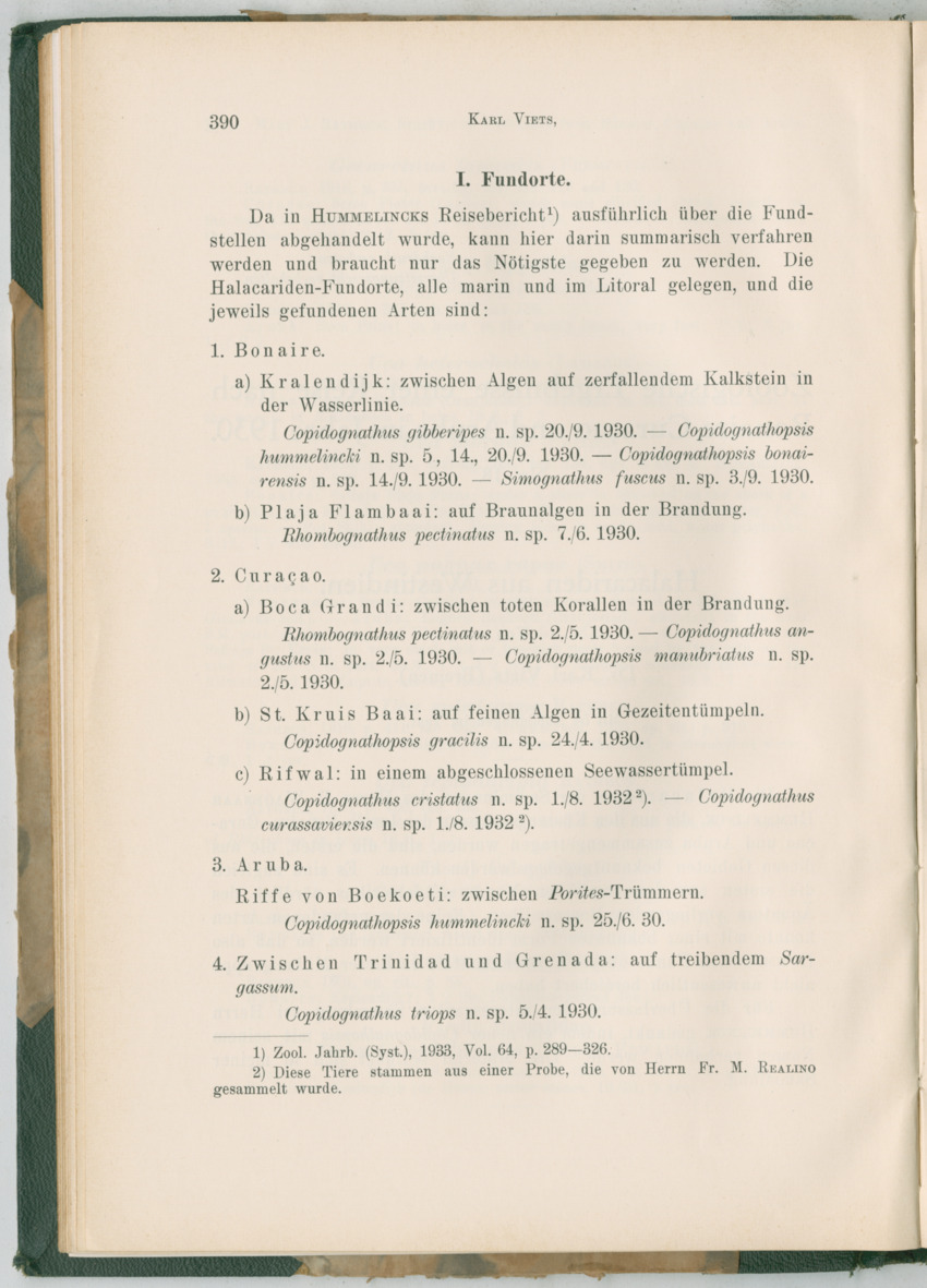 Zoologische Ergebnisse einer Reise nach Bonaire, Curacao und  Aruba im Jahre 1930 - 3. Teil - New Page