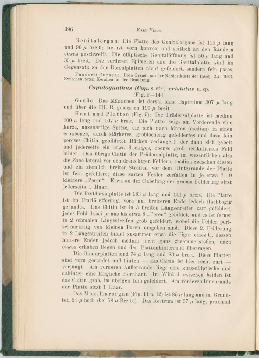 Zoologische Ergebnisse einer Reise nach Bonaire, Curacao und  Aruba im Jahre 1930 - 3. Teil - New Page
