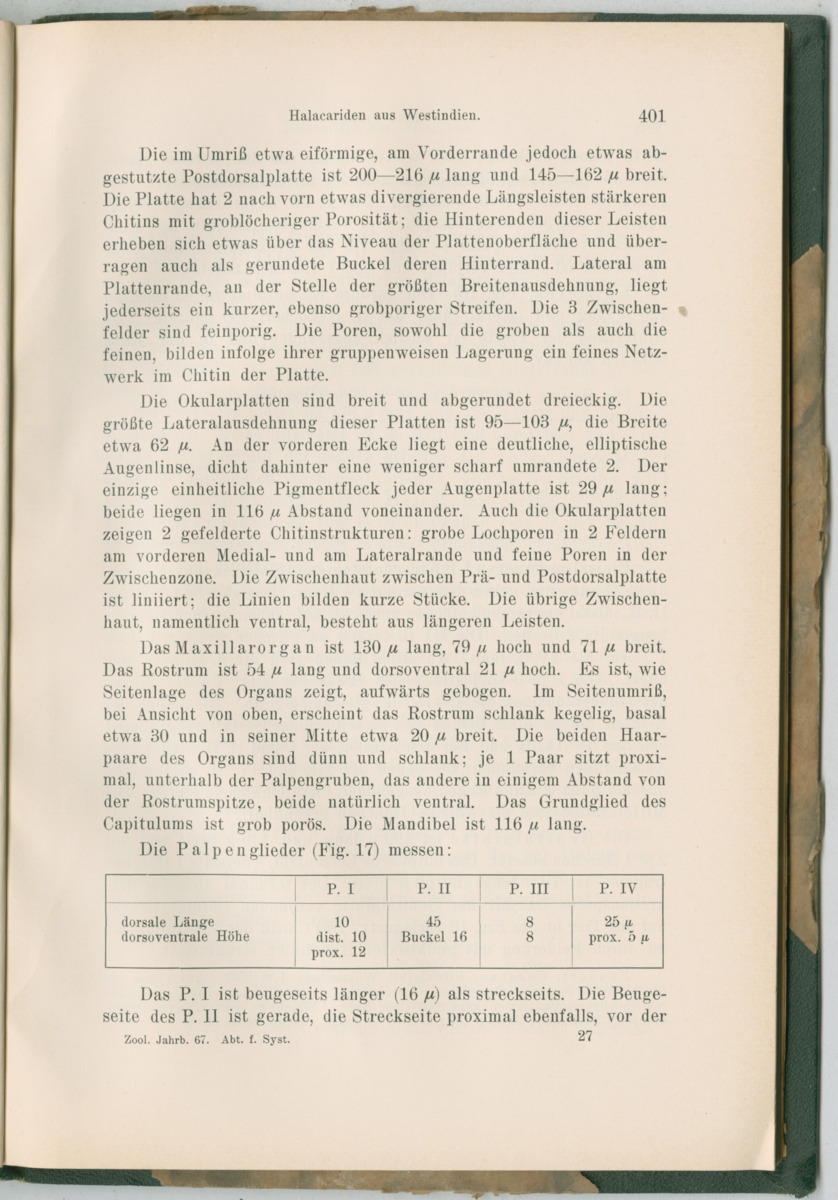 Zoologische Ergebnisse einer Reise nach Bonaire, Curacao und  Aruba im Jahre 1930 - 3. Teil - New Page