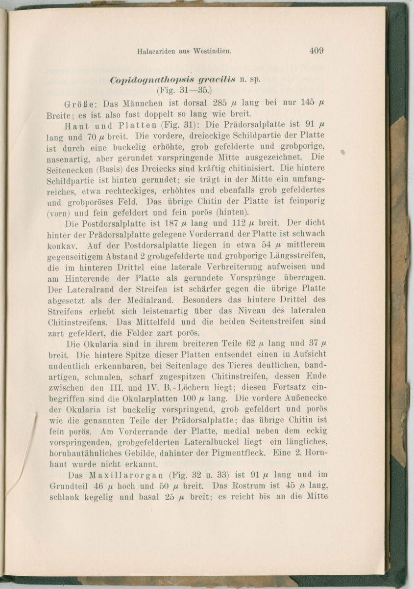 Zoologische Ergebnisse einer Reise nach Bonaire, Curacao und  Aruba im Jahre 1930 - 3. Teil - New Page