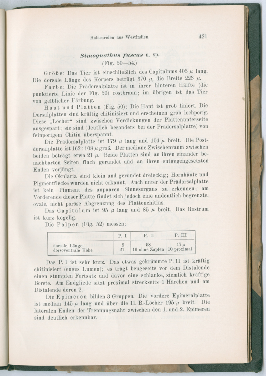 Zoologische Ergebnisse einer Reise nach Bonaire, Curacao und  Aruba im Jahre 1930 - 3. Teil - New Page