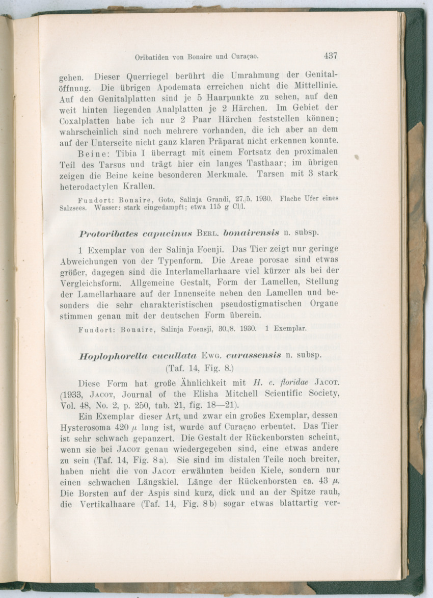 Zoologische Ergebnisse einer Reise nach Bonaire, Curacao und  Aruba im Jahre 1930 - 3. Teil - New Page