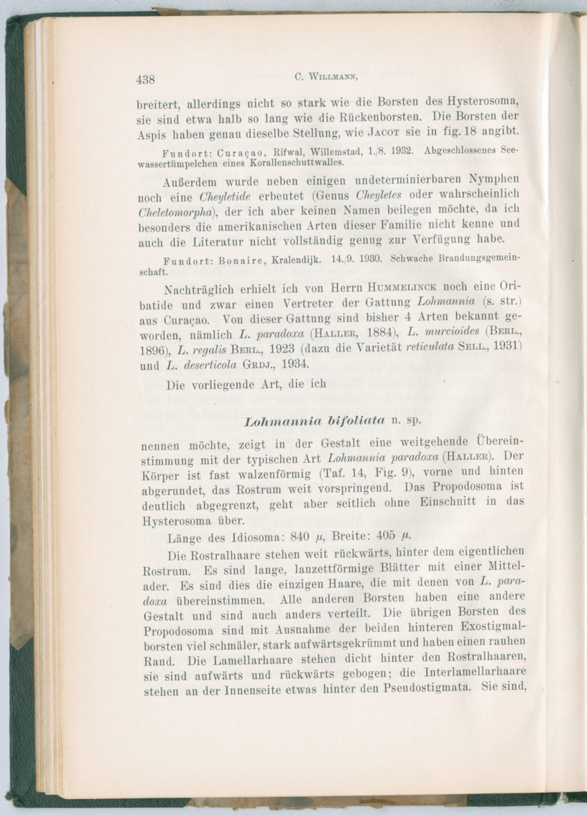 Zoologische Ergebnisse einer Reise nach Bonaire, Curacao und  Aruba im Jahre 1930 - 3. Teil - New Page