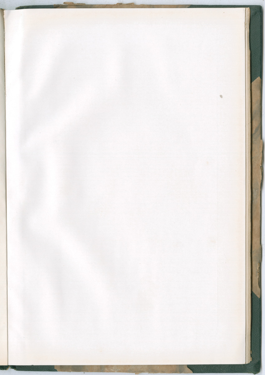 Zoologische Ergebnisse einer Reise nach Bonaire, Curacao und  Aruba im Jahre 1930 - 3. Teil - New Page