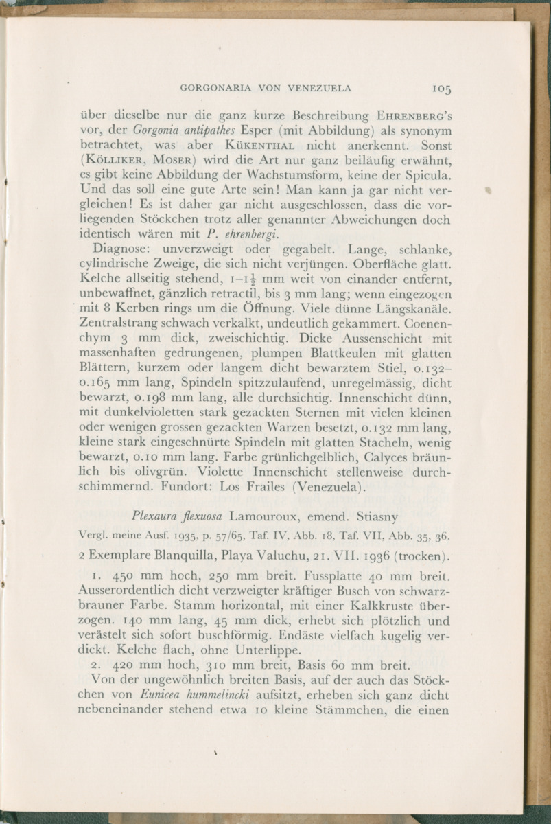 Zoologische Ergebnisse einer Reise nach Bonaire, Curacao und  Aruba im Jahre 1930 - 3. Teil - New Page