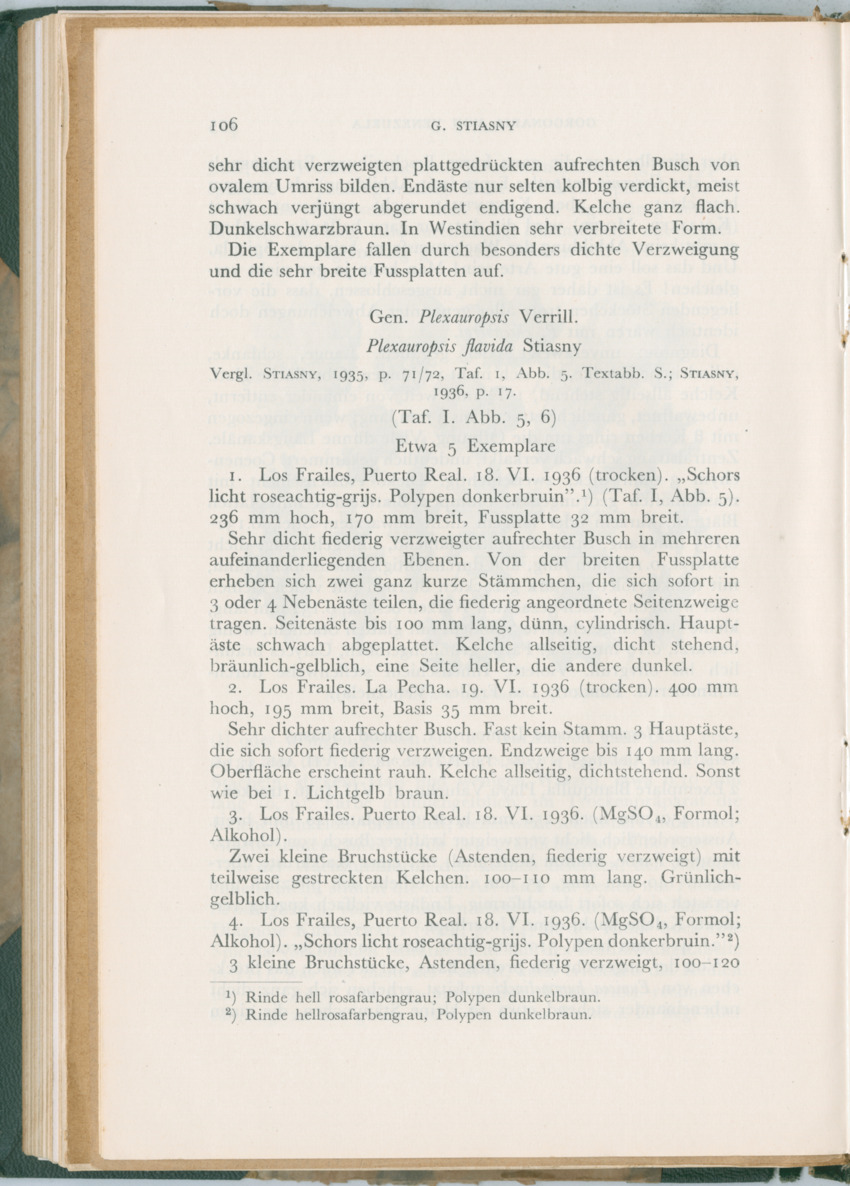 Zoologische Ergebnisse einer Reise nach Bonaire, Curacao und  Aruba im Jahre 1930 - 3. Teil - New Page