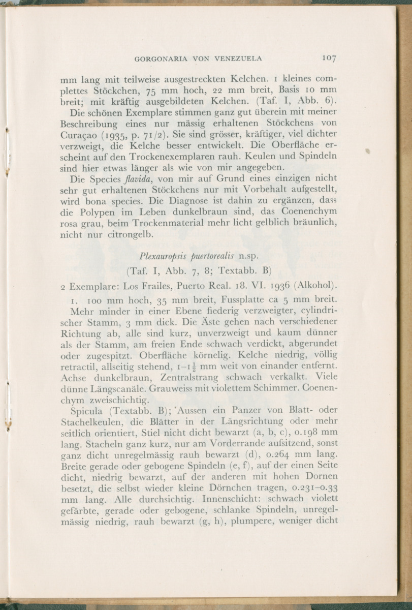 Zoologische Ergebnisse einer Reise nach Bonaire, Curacao und  Aruba im Jahre 1930 - 3. Teil - New Page
