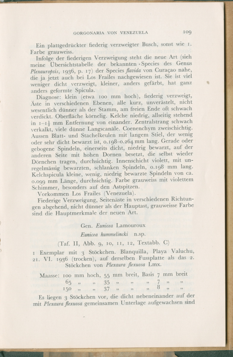 Zoologische Ergebnisse einer Reise nach Bonaire, Curacao und  Aruba im Jahre 1930 - 3. Teil - New Page